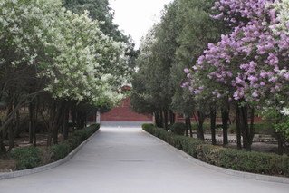 校爱卫会关于校园控烟情况的通报 | 