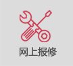 网站首页