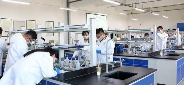 可按栏目接着查阅相关条目