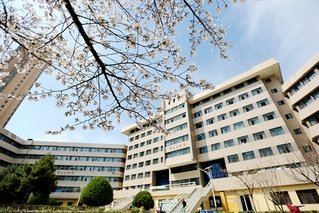 对照阅读