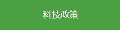网站首页