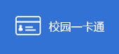 数据中心 / VPN / 就业系统 